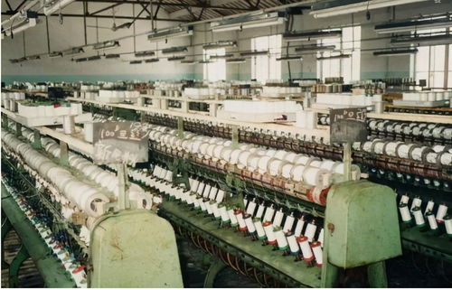 江蘇新首富易主 低調的陳建華，超越劉強東的商業傳奇